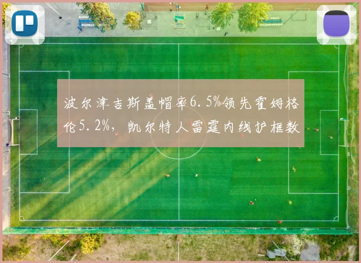 波尔津吉斯盖帽率6.5%领先霍姆格伦5.2%，凯尔特人雷霆内线护框数据对垒